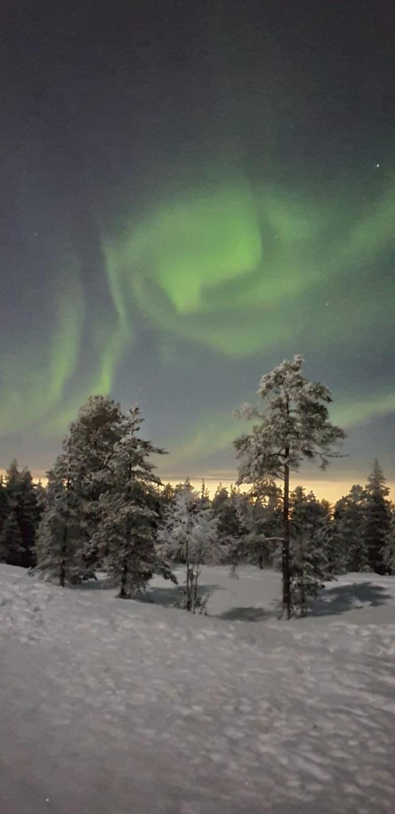 Апартаменти Cozy Arctic Heart Рованіемі Екстер'єр фото